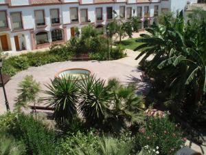 a courtyard with palm trees and a building at Hospederia V Centenario in Estepona
