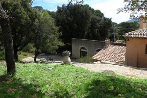 Un oiseau assis sur l'herbe près d'une maison dans l'établissement La Bastide Basse Nature Piscine à 3 quarts d'heure de la mer, à Signes