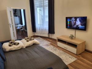 un soggiorno con un orsacchiotto sdraiato su un letto di Apartament Komnata 8 a Przemyśl