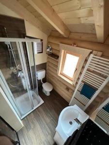 uma casa de banho com um chuveiro, um WC e um lavatório. em Chalet Hüttendorf 49 gradnord em Bayerisch Eisenstein