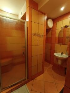 a bathroom with a shower and a sink at Studio nad Kanałem in Kłodzko