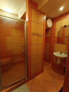 łazienka z prysznicem i umywalką w obiekcie Studio nad Kanałem w Kłodzku