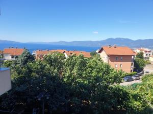 uitzicht op een stad met een meer op de achtergrond bij Apartman Liliana in Rijeka