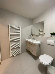 W łazience znajduje się toaleta, umywalka i lustro. w obiekcie Green Stay w Essen