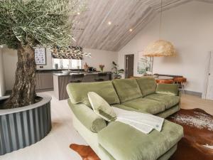 a living room with a green couch and a tree at Garden House in Amlwch