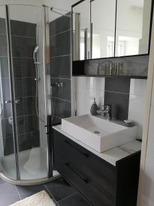 een badkamer met een wastafel en een douche bij Apartment Wigo in Feldkirchen in Kärnten
