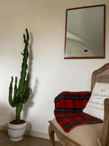 a cactus sitting next to a chair and a mirror at Antica Casa Fenaroli in Iseo