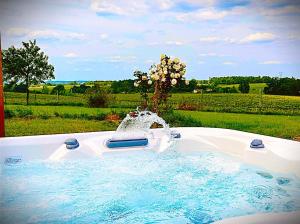 Bazén v ubytování domaine du bedat nebo v jeho okolí