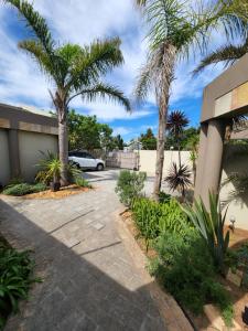 a driveway with palm trees and a car at Jenvey House Selfcatering Apartments & BnB in Port Elizabeth