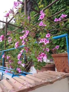 フローレにあるAl Geranio B&Bの青いベンチに飾られたピンクの花束