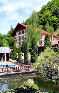 a hotel with a pond in front of a building at Vila Maria Bran in Şimon