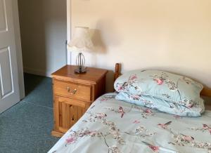 1 dormitorio con cama y mesita de noche con lámpara en Plas Y Nant, en Llwyngwril