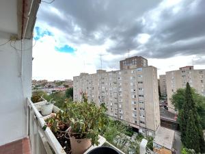 einen Balkon mit Topfpflanzen auf einem Gebäude in der Unterkunft Gran Piso Retiro Corregidor in Madrid