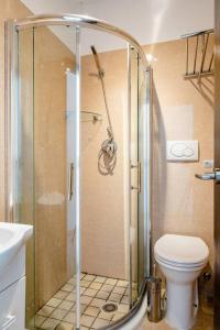 a bathroom with a shower and a toilet at Francesco Romestay - Termini in Rome