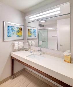 W łazience znajduje się umywalka i lustro. w obiekcie Courtyard by Marriott Columbia Northeast/Fort Jackson Area w mieście Columbia