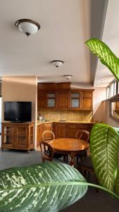 a living room with a table and a tv at Jaukūs Friedricho pasažo apartamentai in Klaipėda