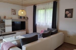 a living room with a couch and a tv at Ferienwohnung Schmidt in Airlenbach