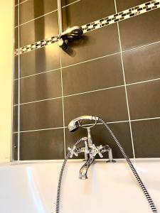 a bathroom sink with a shower hose at Appartement rénové 80 m2 in Foix