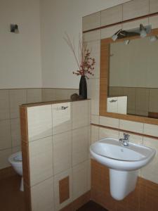 ein Badezimmer mit einem Waschbecken, einem Spiegel und einem WC in der Unterkunft Dům U Jelena in Vimperk