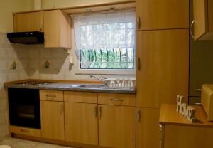 a kitchen with wooden cabinets and a sink and a window at Vasiliki's Apartment in Psakoudia