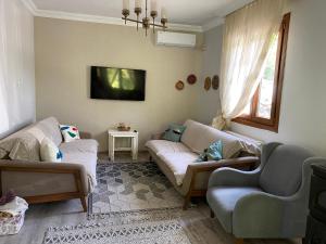 a living room with two couches and a tv at Doğa villa in Yomra