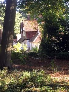 Zahrada ubytování Highfield Lodge