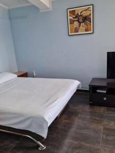 1 dormitorio con 1 cama blanca y TV en Apartmani Orange Dreams en Sutomore