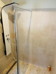 y baño con ducha y puerta de cristal. en Chambre d'hôtes dans les champs en Jeux-lès-Bard
