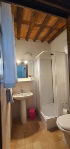een badkamer met een wastafel en een douche bij La casetta in Camaiore