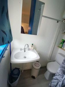ヴィラール・ド・ランにあるSTUDIO LES GLOVETTESのバスルーム(洗面台、トイレ、鏡付)