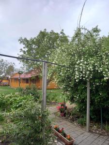 un jardin avec un arbre et des fleurs blanches dans l'établissement Hobby Vendégház, à Kiskunmajsa