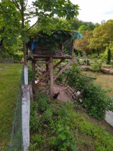 Giardino di Mikin vajat i ribnjak Korenita, Loznica