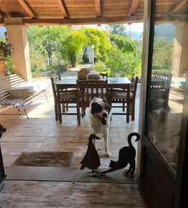 Imagen de la galería de Casa de' Trinci, en Foligno