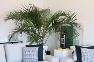 a living room with a white couch and a palm tree at River Terrace & Pool View - Seixal in Seixal