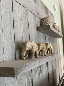 Fotografie z fotogalerie ubytování Chalet Sint-Hubertus v destinaci Zutendaal