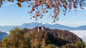 a castle on top of a hill with mountains at Dream Apartments in Hohenems
