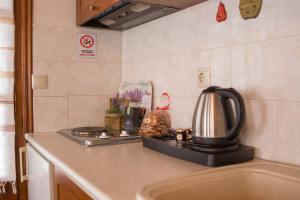 a kitchen counter with a tea kettle on a stove at Φιλυρέα - Ενοικιαζόμενα Δωμάτια in Zagora