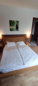 Postel nebo postele na pokoji v ubytování Chambre d'hôtes de la tulipe