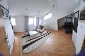 een woonkamer met een bank en een tapijt bij Cool flat in Sarajevo