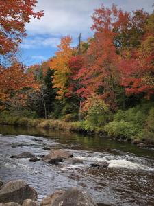 een rivier met kleurrijke bomen op de achtergrond bij HTR Adirondacks in Old Forge