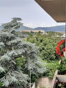 d'un balcon avec vue sur un arbre. dans l'établissement Luna Reale Relais e Suite, à San Nicola La Strada