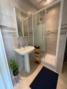 a bathroom with a sink and a shower at Petit cocon / parking au centre ville Melun in Melun