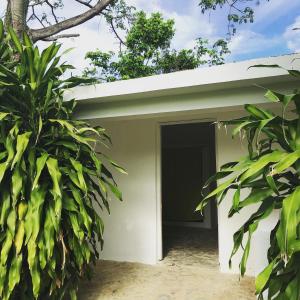 een klein wit gebouw met een deur en bomen bij El Patio Cultural in Las Terrenas
