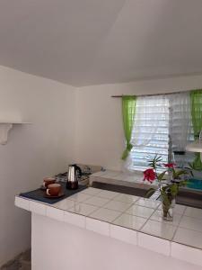 a kitchen with a counter top and a window at El Patio Cultural in Las Terrenas