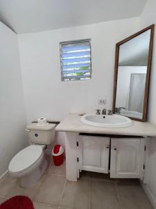 uma casa de banho com um WC, um lavatório e um espelho. em El Patio Cultural em Las Terrenas