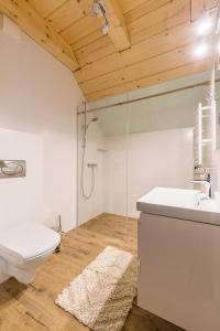 a bathroom with a toilet and a sink and a shower at Smerek 119- Baza Przy Szlaku in Smerek