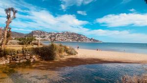a beach with a palm tree and people on the beach at La baie de Rose in Roses