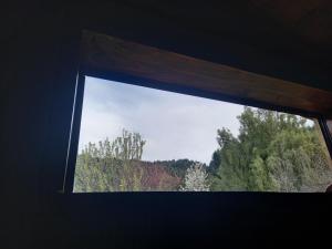 una ventana en una habitación con vistas a los árboles en Departamento ElTrebol en Lago Puelo