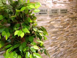 a plant in front of a brick wall with signs at Ultra Deluxe Versace Apartment Near Sheffield FULL SKY TV in Rotherham