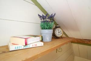 un estante con libros y un reloj y un jarrón de flores en Mittjas Vallen Timber Lodge & Cabins, en Edsbyn